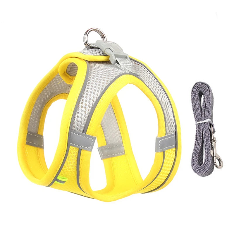 Adjustable Pet Harness Set