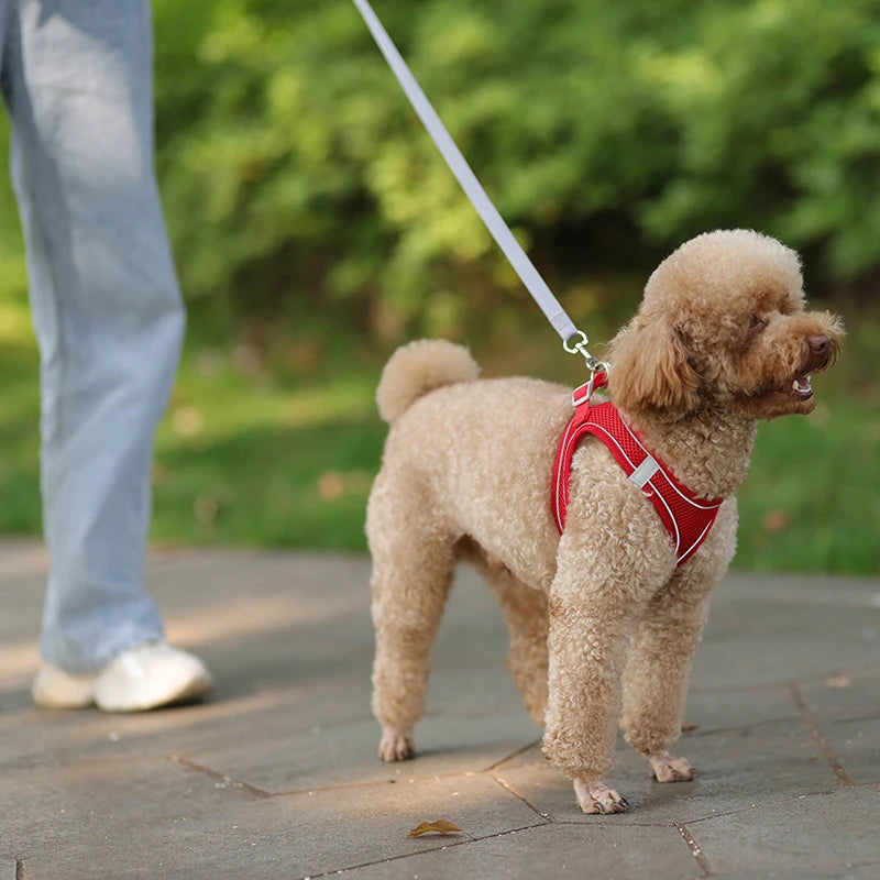 Adjustable Pet Harness Set