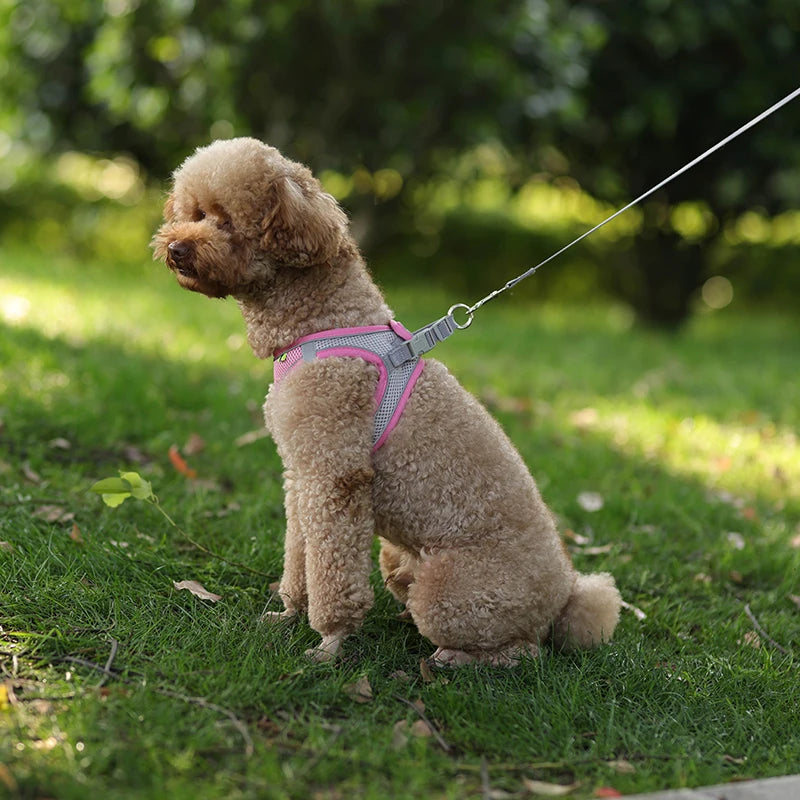 Adjustable Pet Harness Set