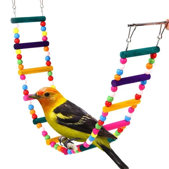 Bird Swing Toy Set