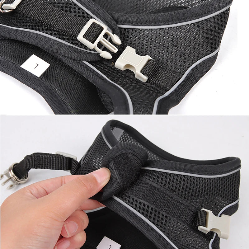 Adjustable Pet Harness Set