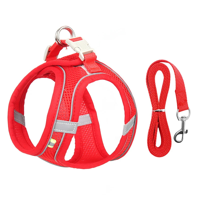 Adjustable Pet Harness Set