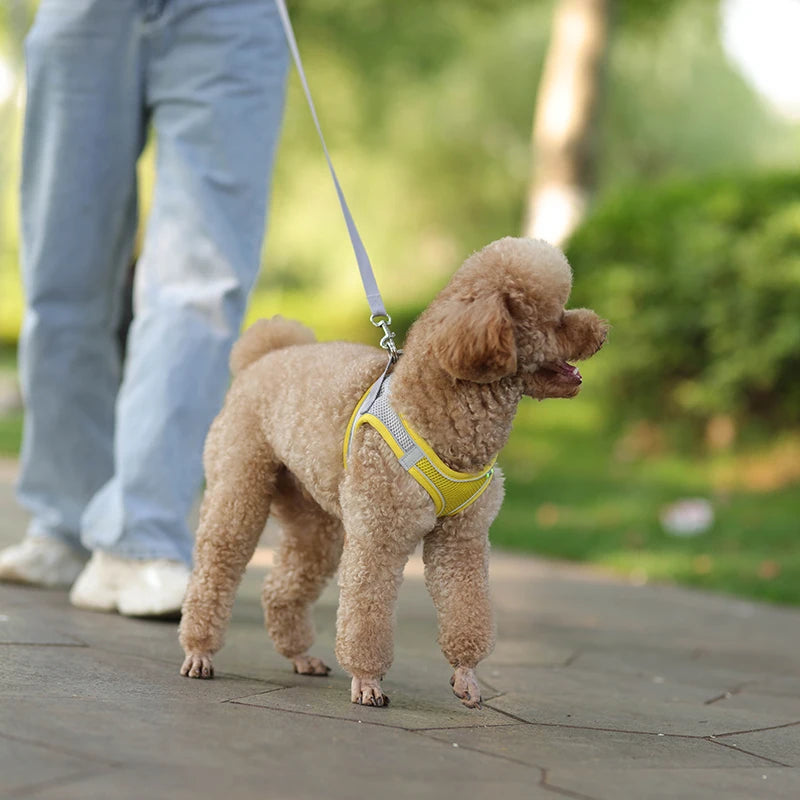Adjustable Pet Harness Set