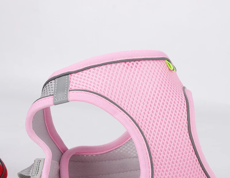 Adjustable Pet Harness Set