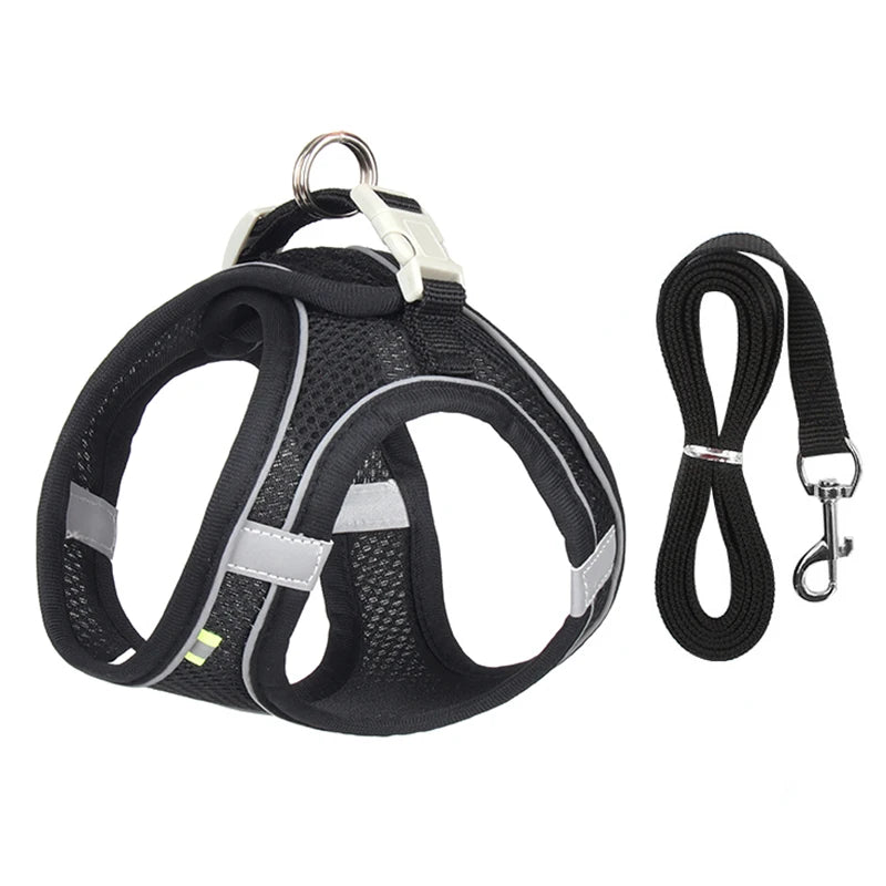 Adjustable Pet Harness Set