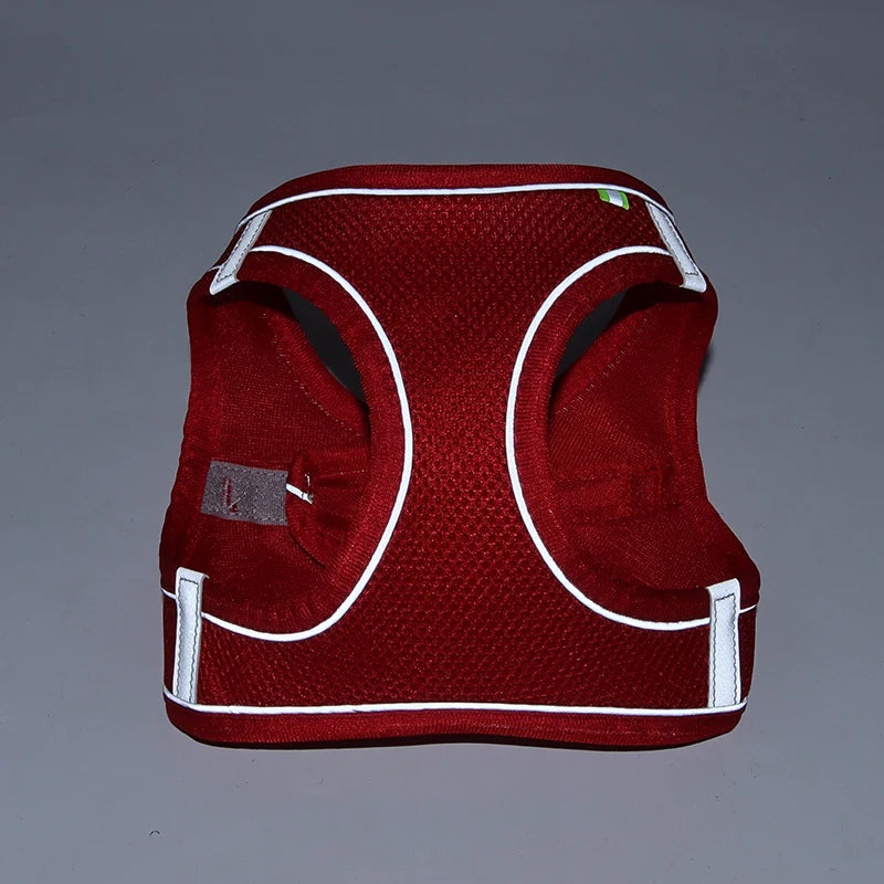 Adjustable Pet Harness Set