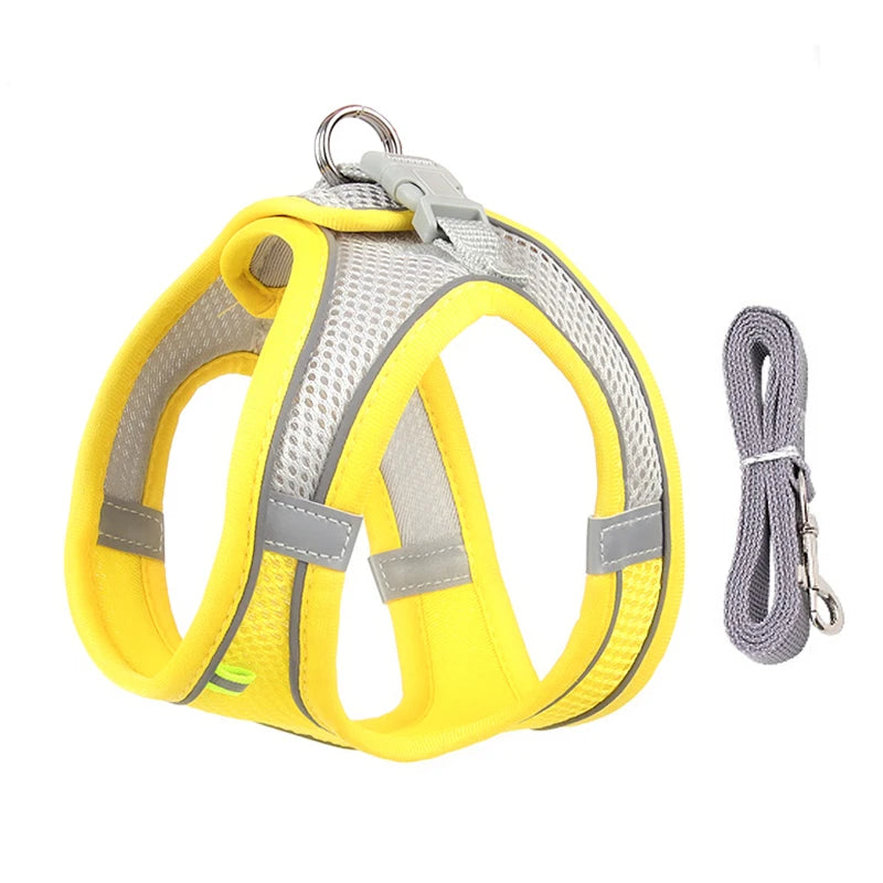 Adjustable Pet Harness Set