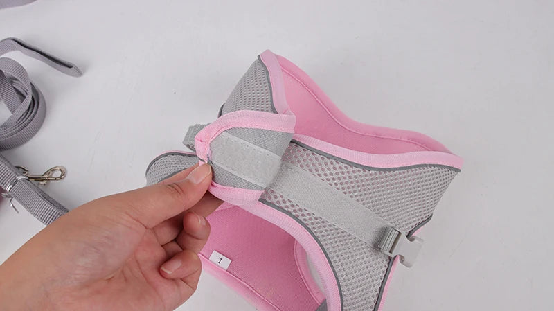 Adjustable Pet Harness Set