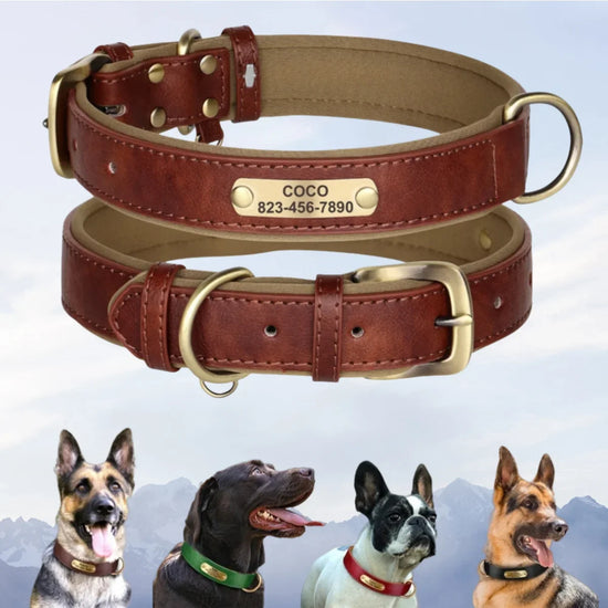 Personalized Leather Dog Collar