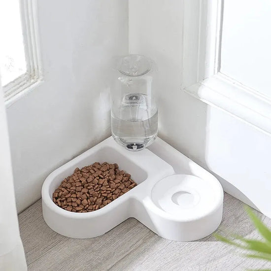 Double Pet Feeding Bowl